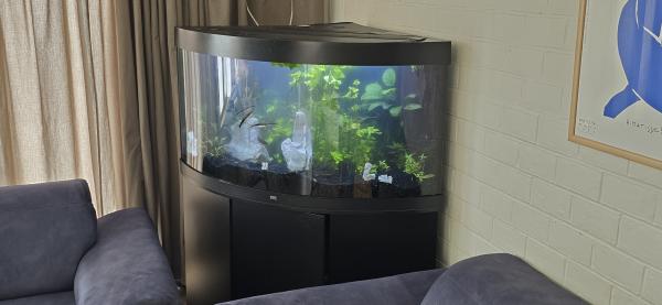 Aquarium Juwel Trigon 350 l