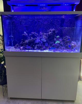 aquarium marin red sea max 500 complet