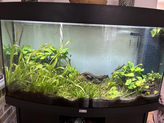 Aquarium JUWEL Visio 180