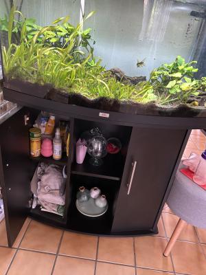 Aquarium JUWEL Visio 180