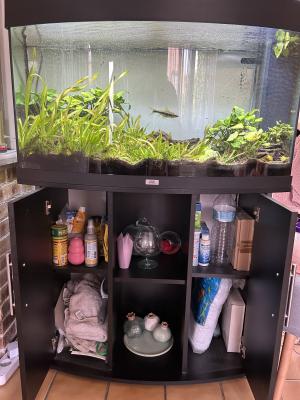 Aquarium JUWEL Visio 180