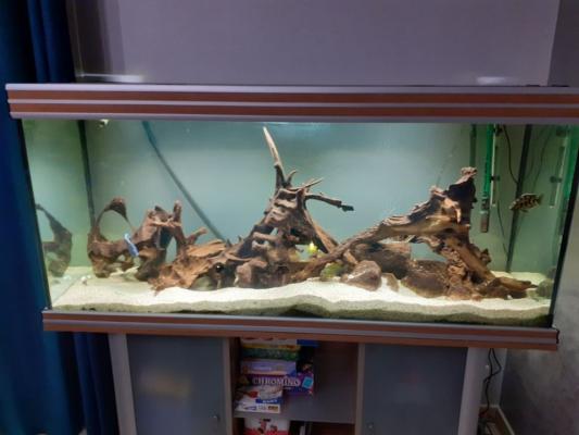 Aquarium