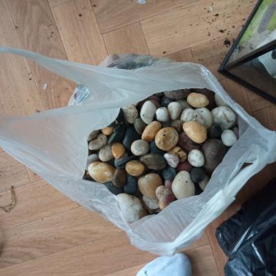 Lot de matériel, aquariums, décorations...