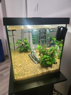 Aquarium 54l