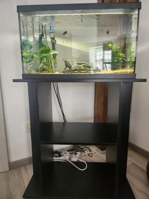 Aquarium 54l