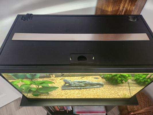 Aquarium 54l