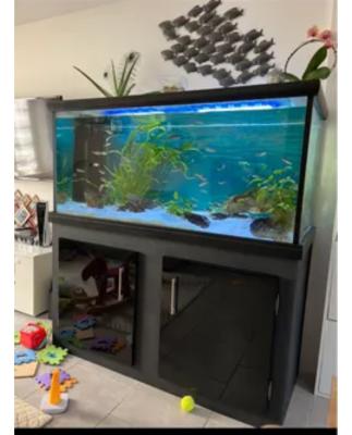 Aquarium + meuble