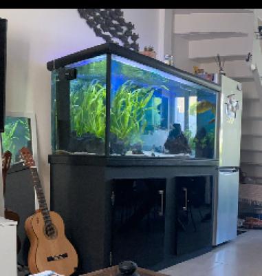 Aquarium + meuble