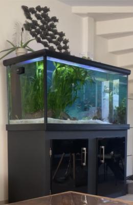 Aquarium + meuble