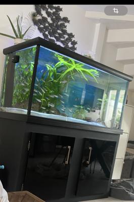 Aquarium + meuble