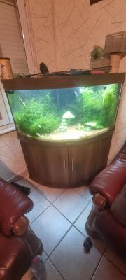 Aquarium 350l
