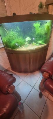 Aquarium 350l