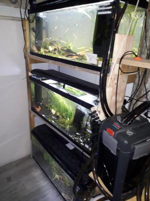 Aquariums