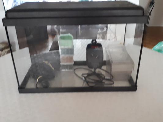 AQUARIUM