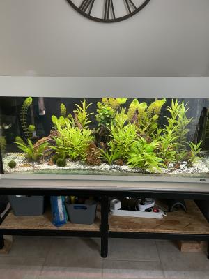 Aquarium 240 littes