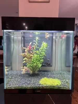 Aquarium Ciano noir 52L + meuble