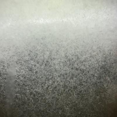 Kit pour élevage d'anguillules de vinaigre