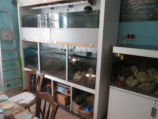 Galerie avec 6 aquariums
