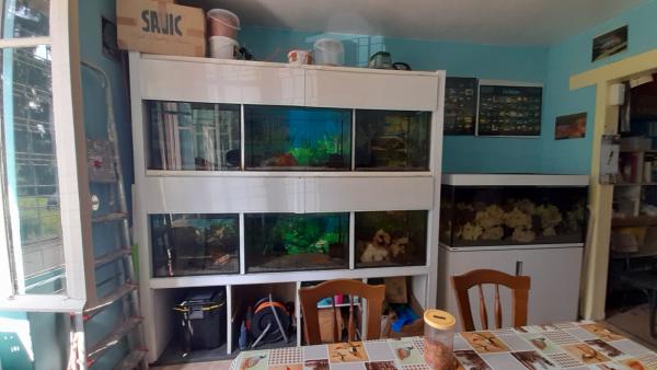 Galerie avec 6 aquariums