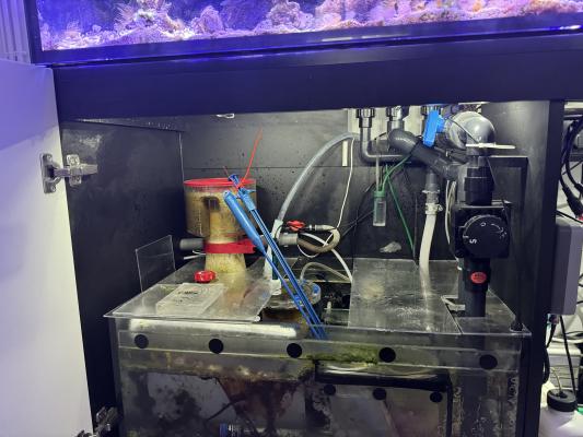 Vend aquarium eau de mer  (complet )