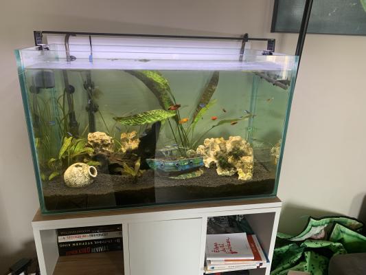 Aquarium et meuble sous garantie
