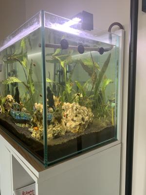 Aquarium et meuble sous garantie