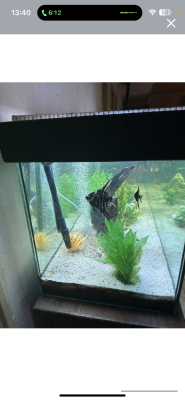 Aquarium 600 litre complet