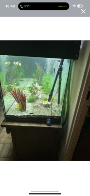 Aquarium 600 litre complet