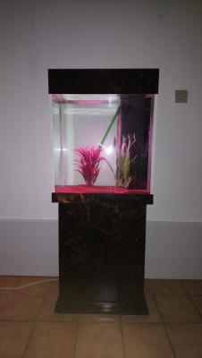 Aquarium colonne 90 litres