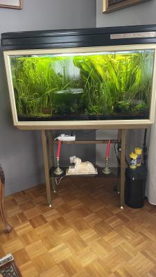 Aquarium 200 L