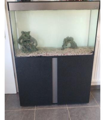 Aquarium 250l