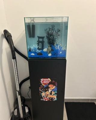 Aquarium 50L avec son meuble