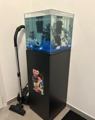 Aquarium 50L avec son meuble