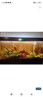 A vendre aquarium 300L équipé très bon état