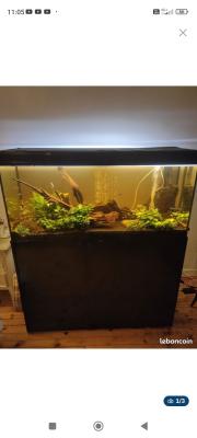 A vendre aquarium 300L équipé très bon état
