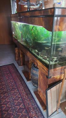 aquarium 400 litres Créteil