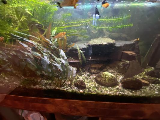 aquarium 400 litres Créteil