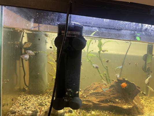 Aquarium à vendre