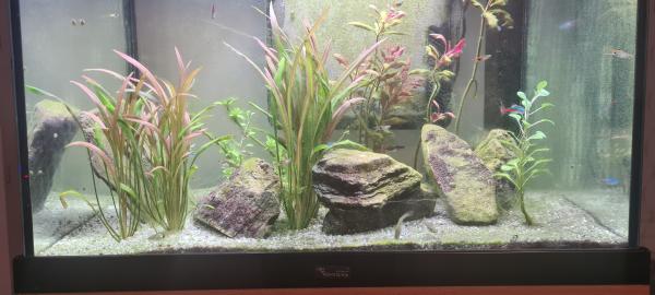 Aquarium