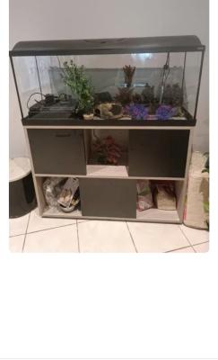Aquarium