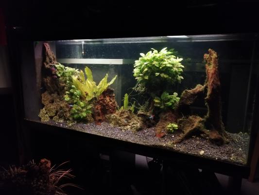 Aquarium 500l complet