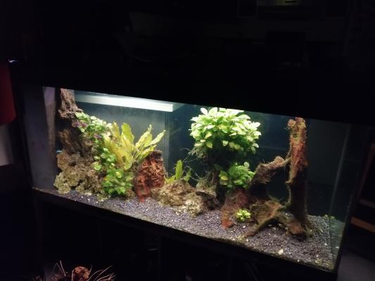 Aquarium 500l complet