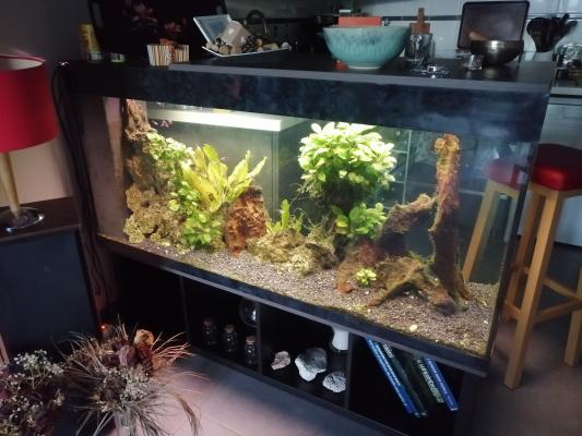 Aquarium 500l complet