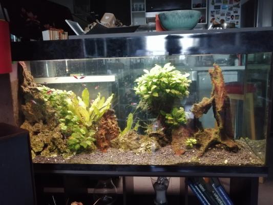 Aquarium 500l complet