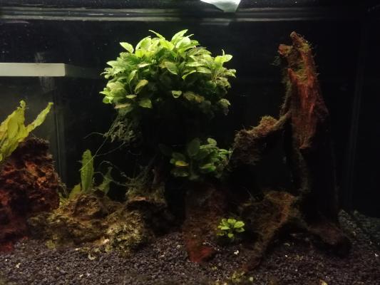 Aquarium 500l complet