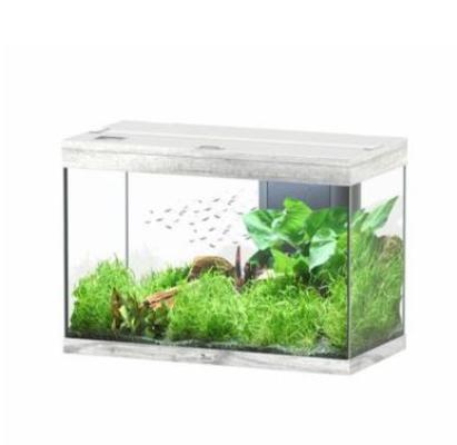 Vends Aquarium Aquatlantis Splendid 80 + meuble