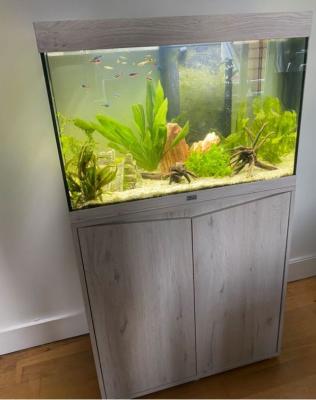 Vends Aquarium Aquatlantis Splendid 80 + meuble