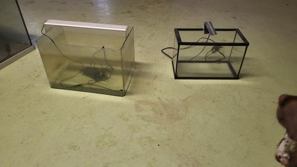 AQUARIUM