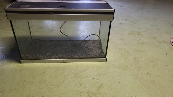 AQUARIUM