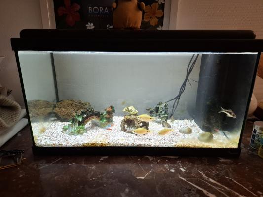 Aquarium 60 litres